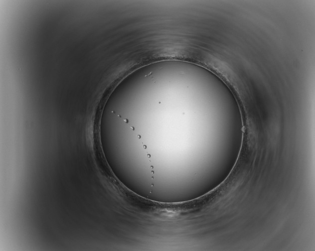 X0000090700482200707201200