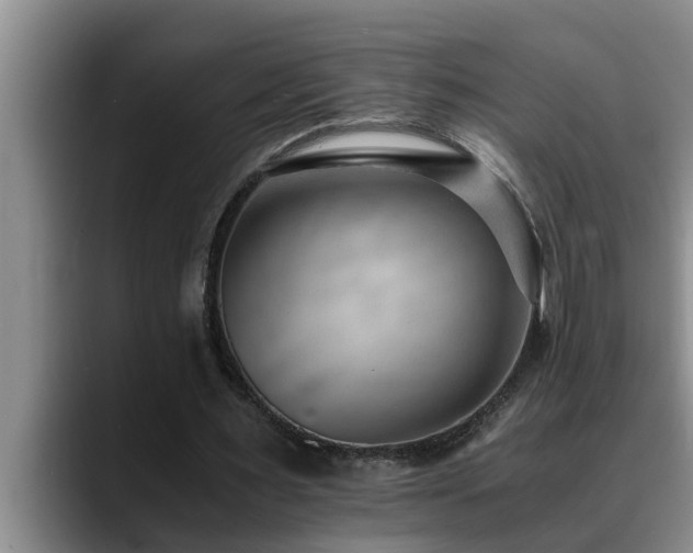 X0000090700483200707201200