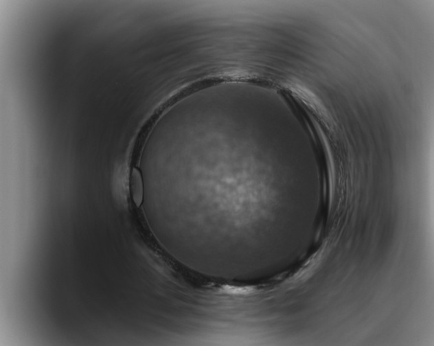 X0000090700484200707201200