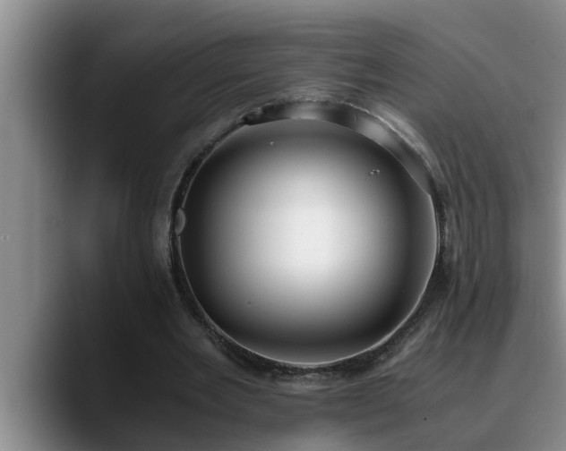 X0000090700485200707201200