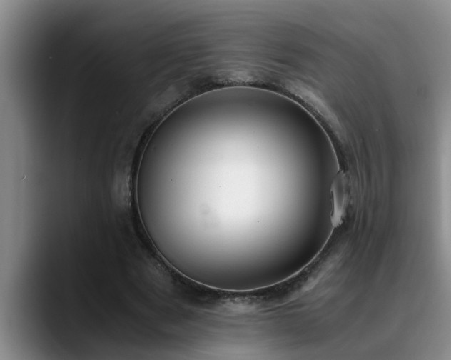 X0000090700489200707201200