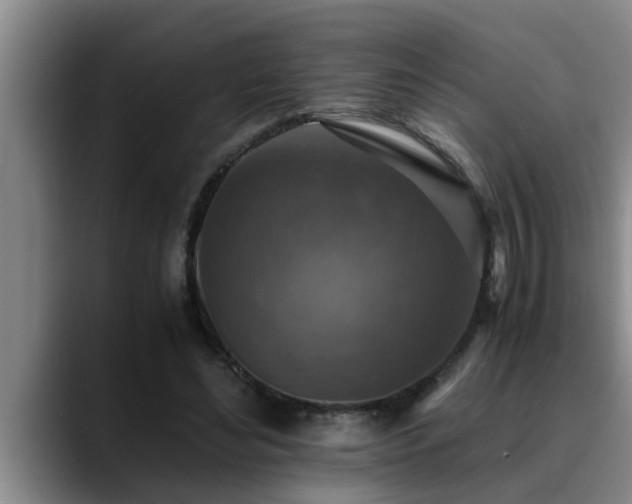 X0000090700492200707201200