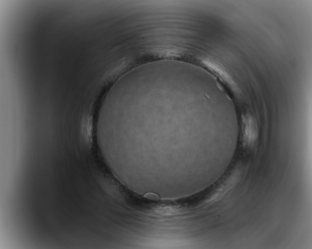 X0000090700494200707201200