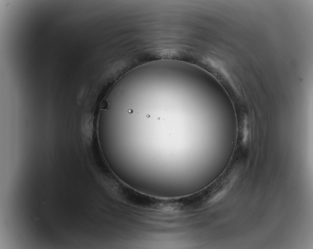 X0000090700495200707201200