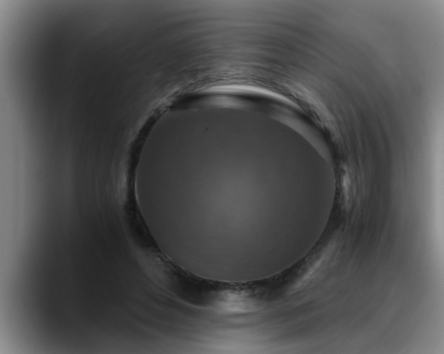 X0000090700496200707201200