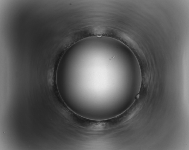 X0000090700497200707201200