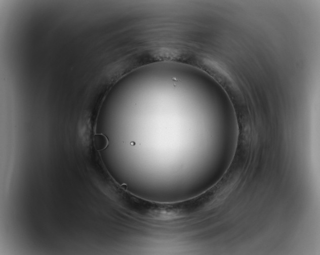 X0000090700498200707201200