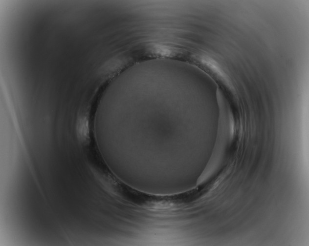 X0000090700500200707201200