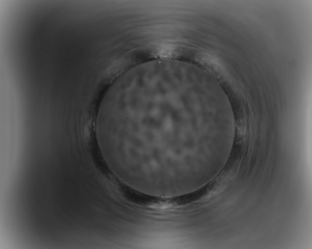 X0000090700503200707201200