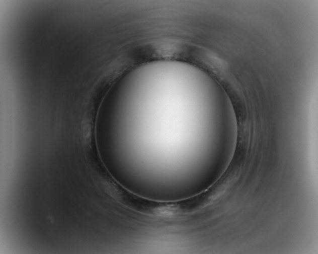 X0000090700505200707201200