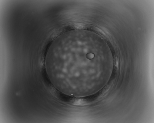 X0000090700507200707201200