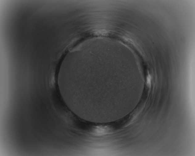 X0000090700508200707201200