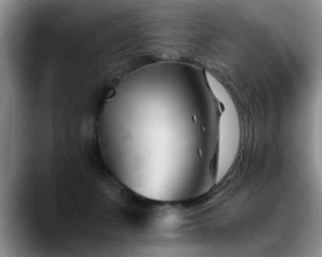 X0000090700511200707201200