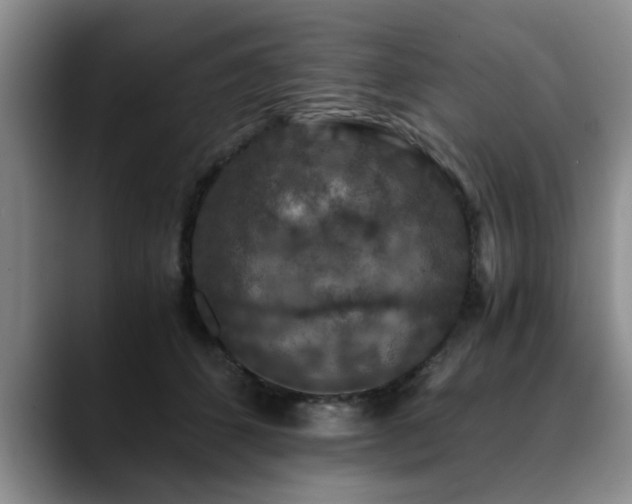 X0000090700512200707201200