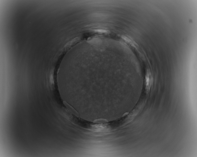 X0000090700516200707201200