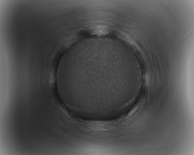 X0000090700517200707201200