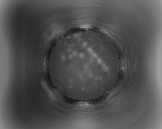 X0000090700519200707201200