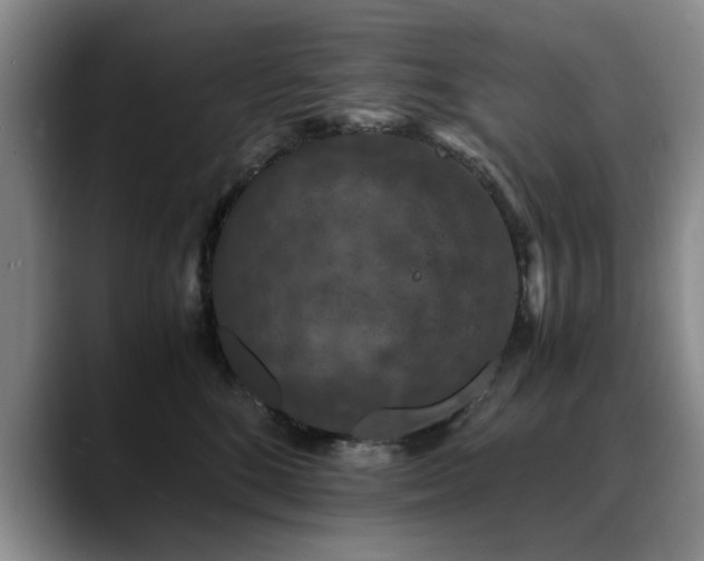 X0000090700520200707201200