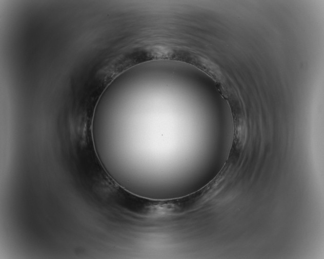 X0000090700525200707201159