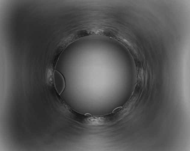 X0000090700526200707201159