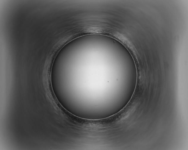 X0000090700529200707201159