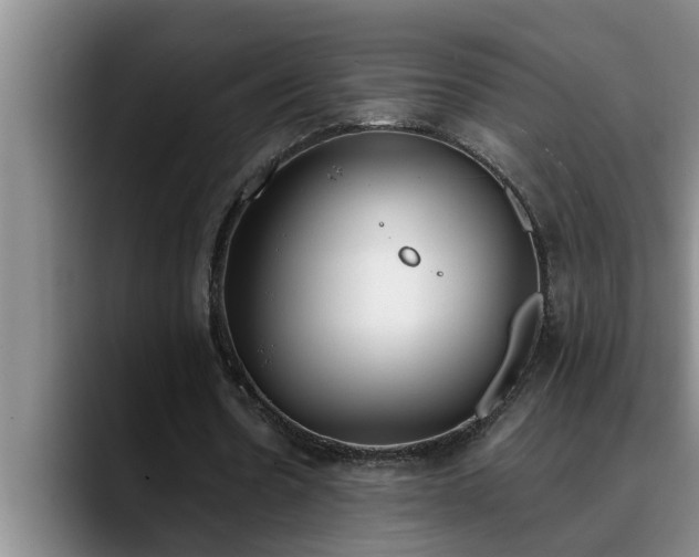 X0000090700530200707201159