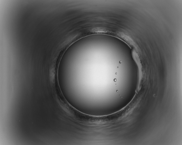 X0000090700533200707201159