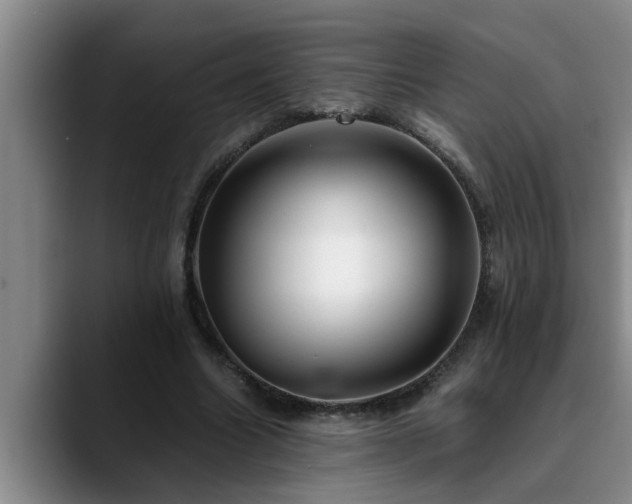 X0000090700538200707201159