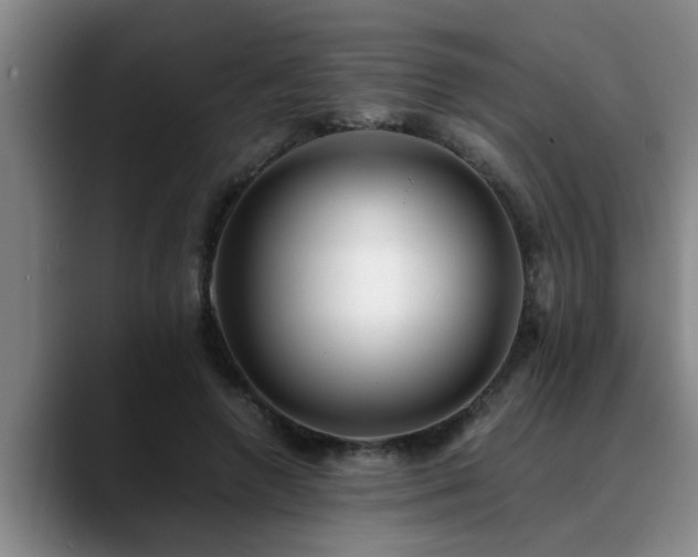 X0000090700546200707201159