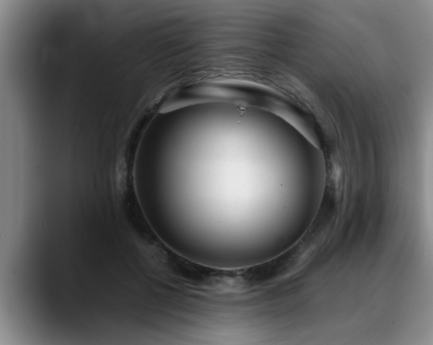 X0000090700552200707201159