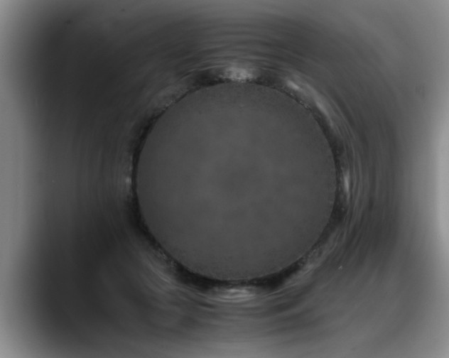 X0000090700553200707201159