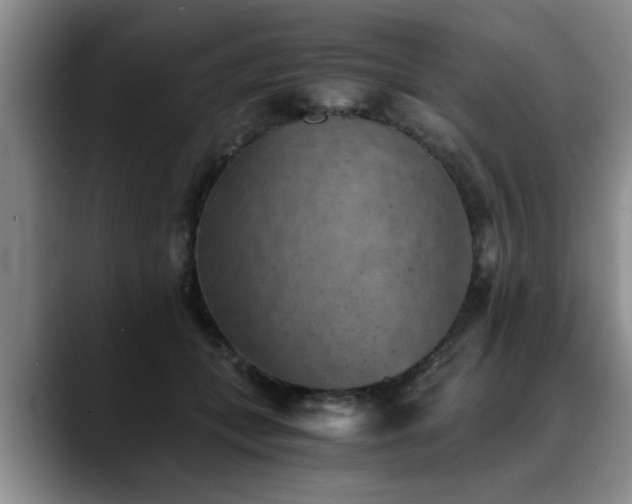 X0000090700559200707201159