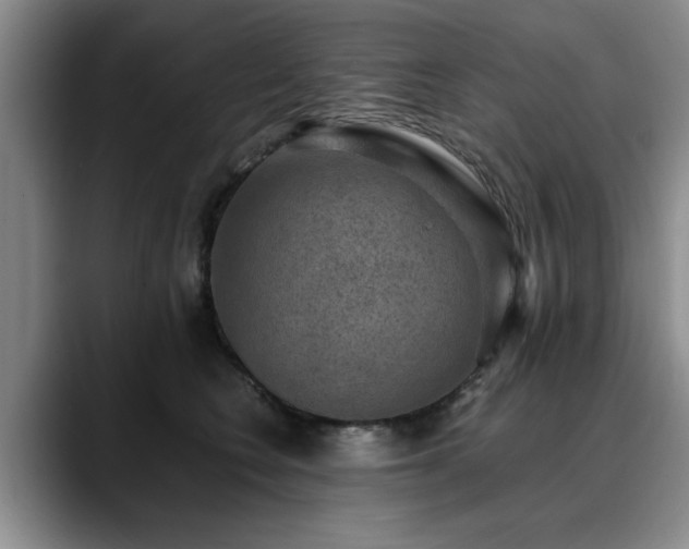 X0000090700566200707201159