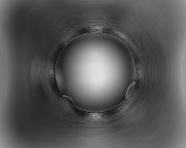 X0000090700573200707201159