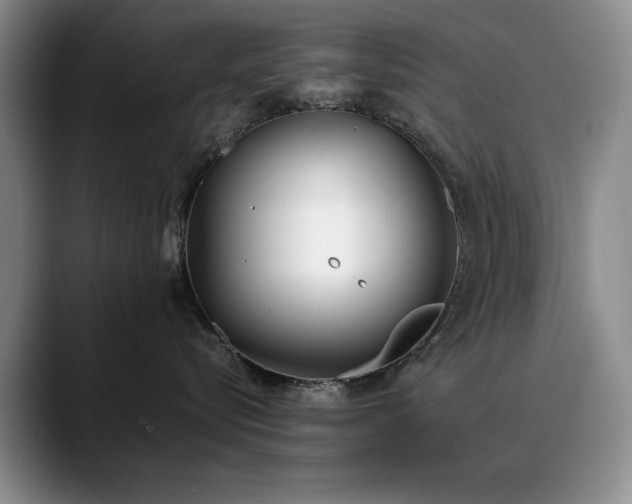 X0000090700576200707201159