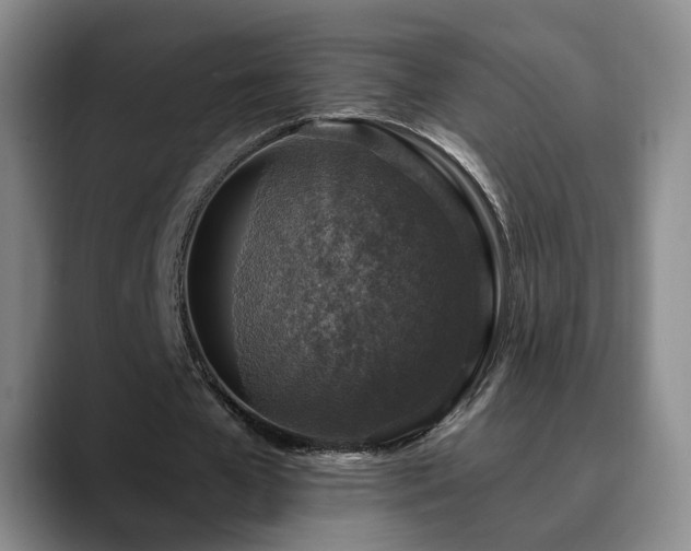 X0000090700577200707201159