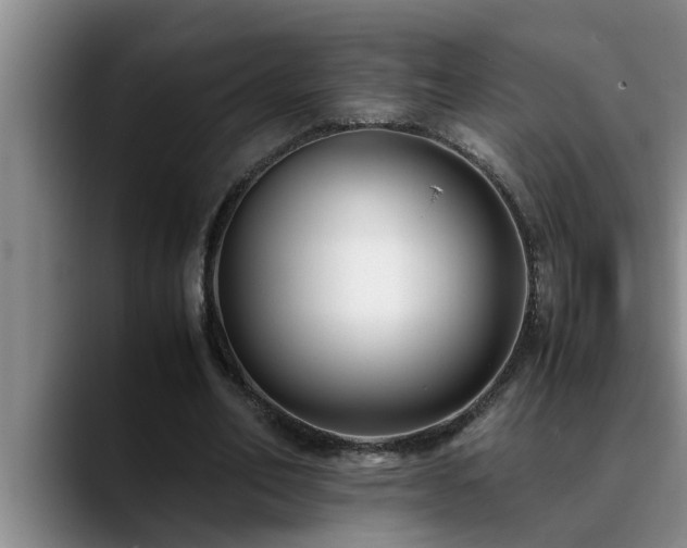 X0000090700582200707201159