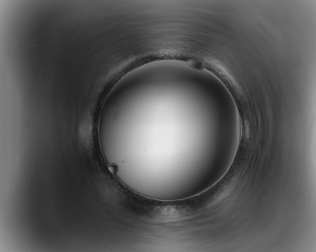 X0000090700588200707201159