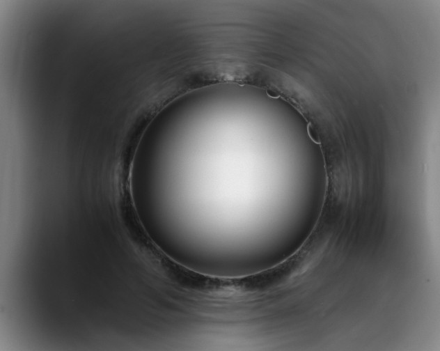 X0000090700594200707201159