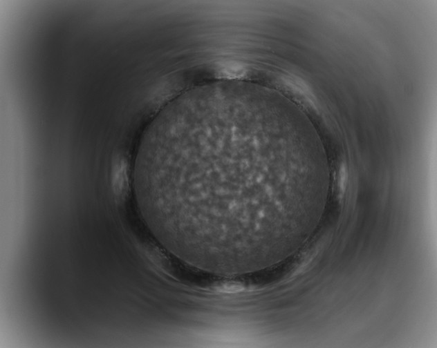 X0000090700598200707201159