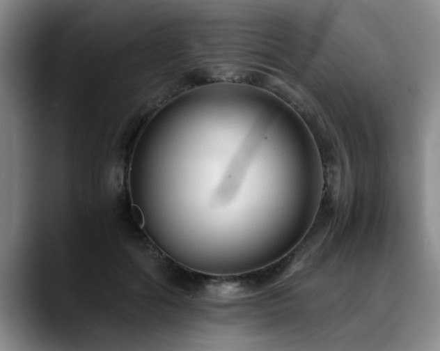 X0000090700602200707201159