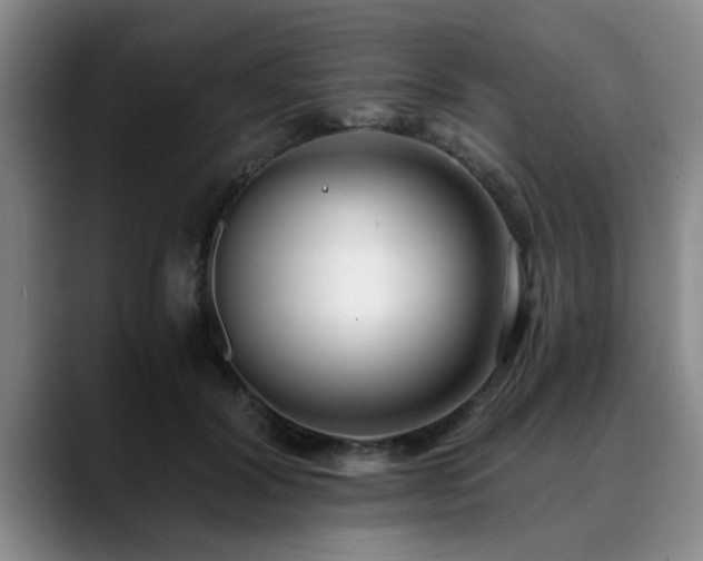 X0000090700604200707201159