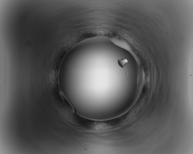 X0000090700605200707201159