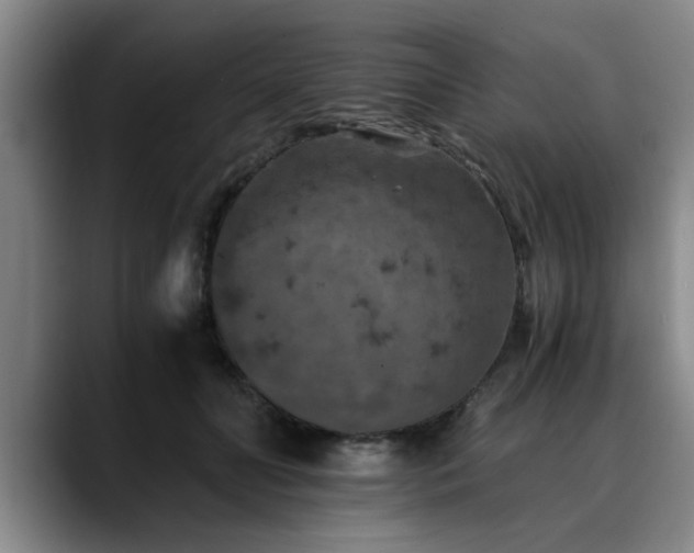 X0000090700606200707201159