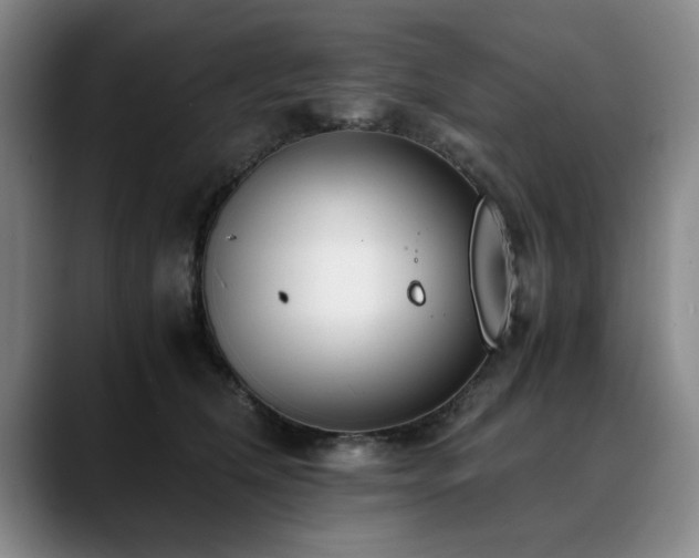 X0000090700612200707201158