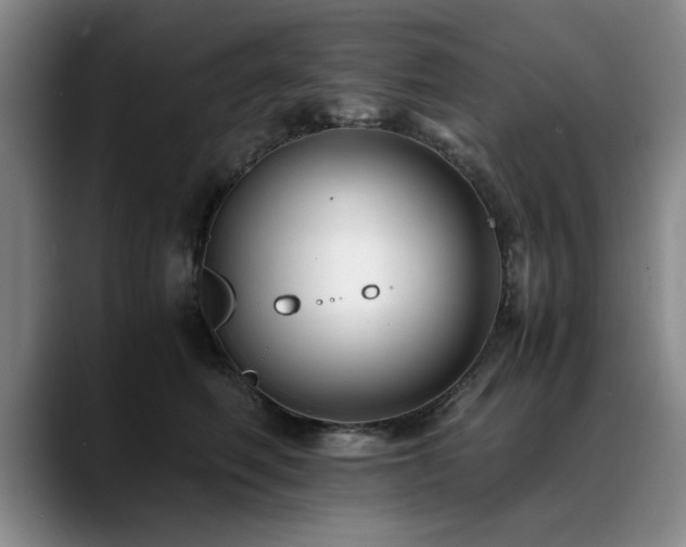 X0000090700614200707201158