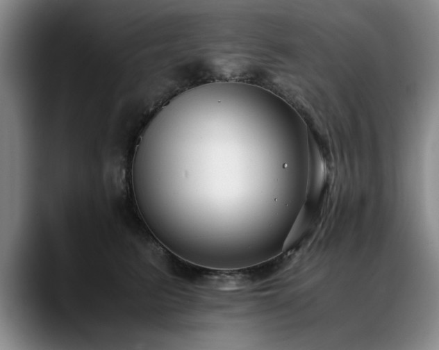 X0000090700615200707201158