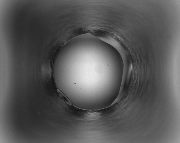 X0000090700617200707201158