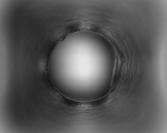 X0000090700619200707201158