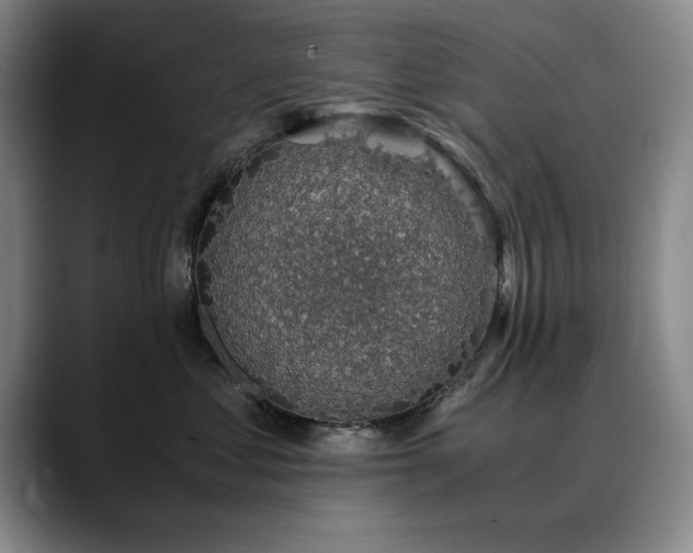 X0000090700621200707201158